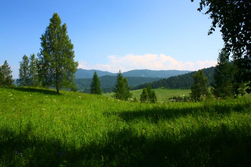 Купить Участок На Горном Алтае